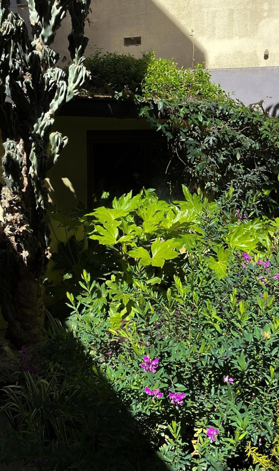 Loquat House Nel Giardino Segreto In Zona Vaticano Roma