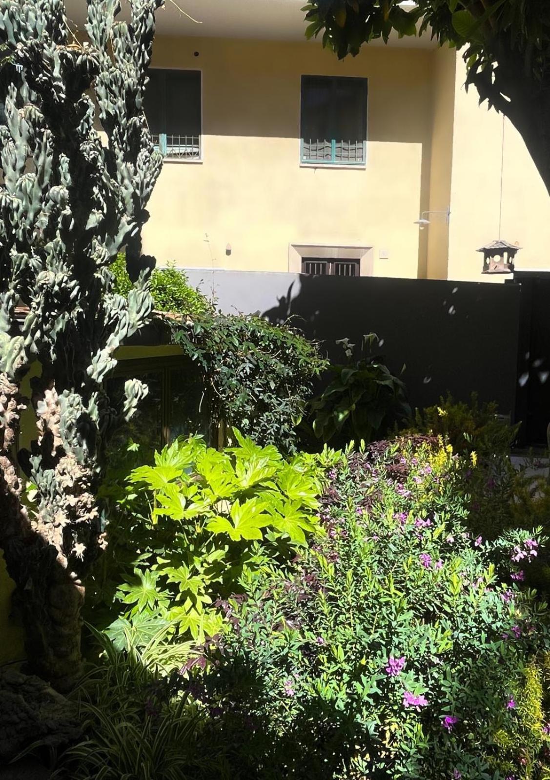 Leilighet Loquat House Nel Giardino Segreto In Zona Vaticano Roma