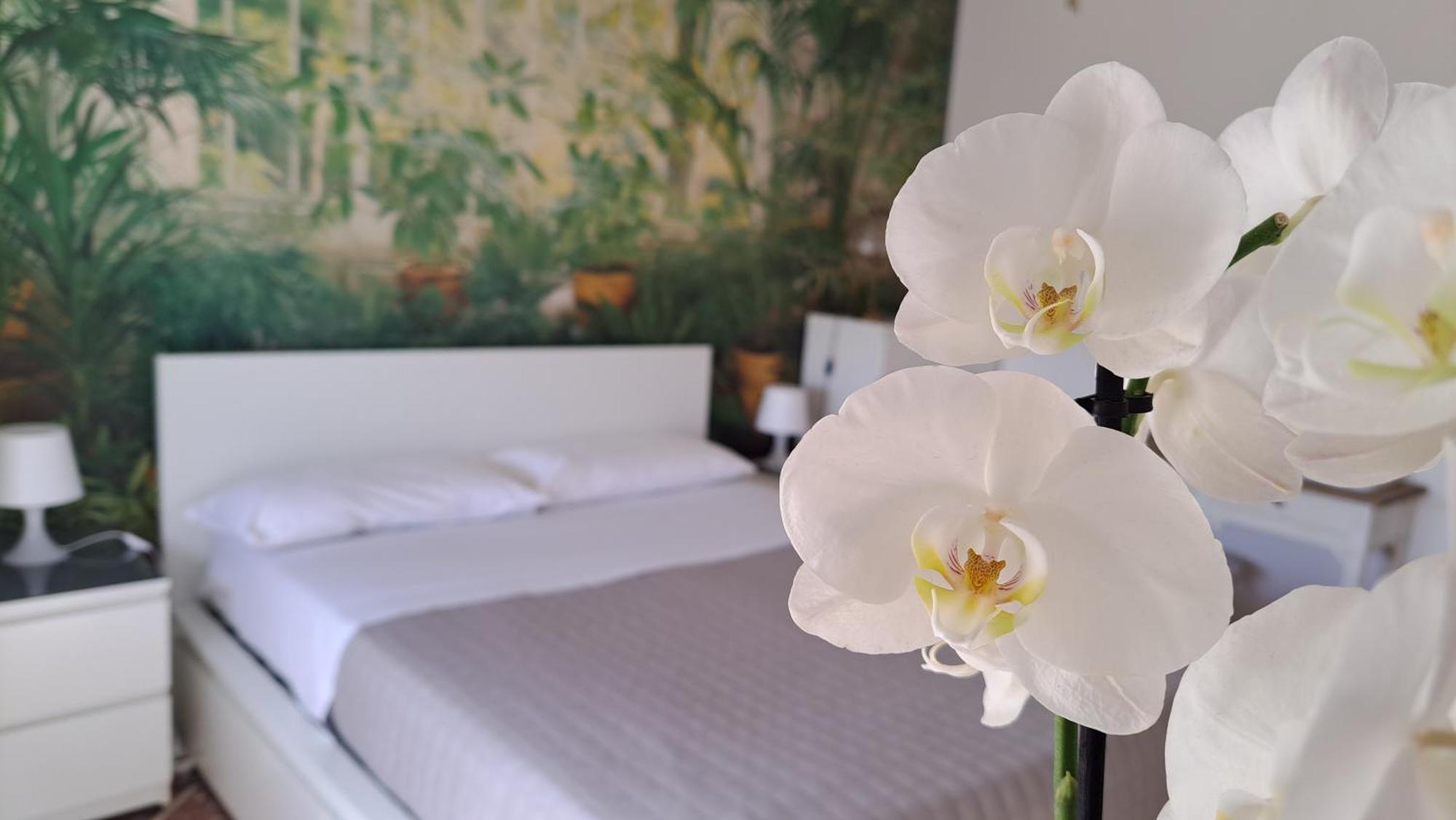 Apartamento Citta Giardino Roma