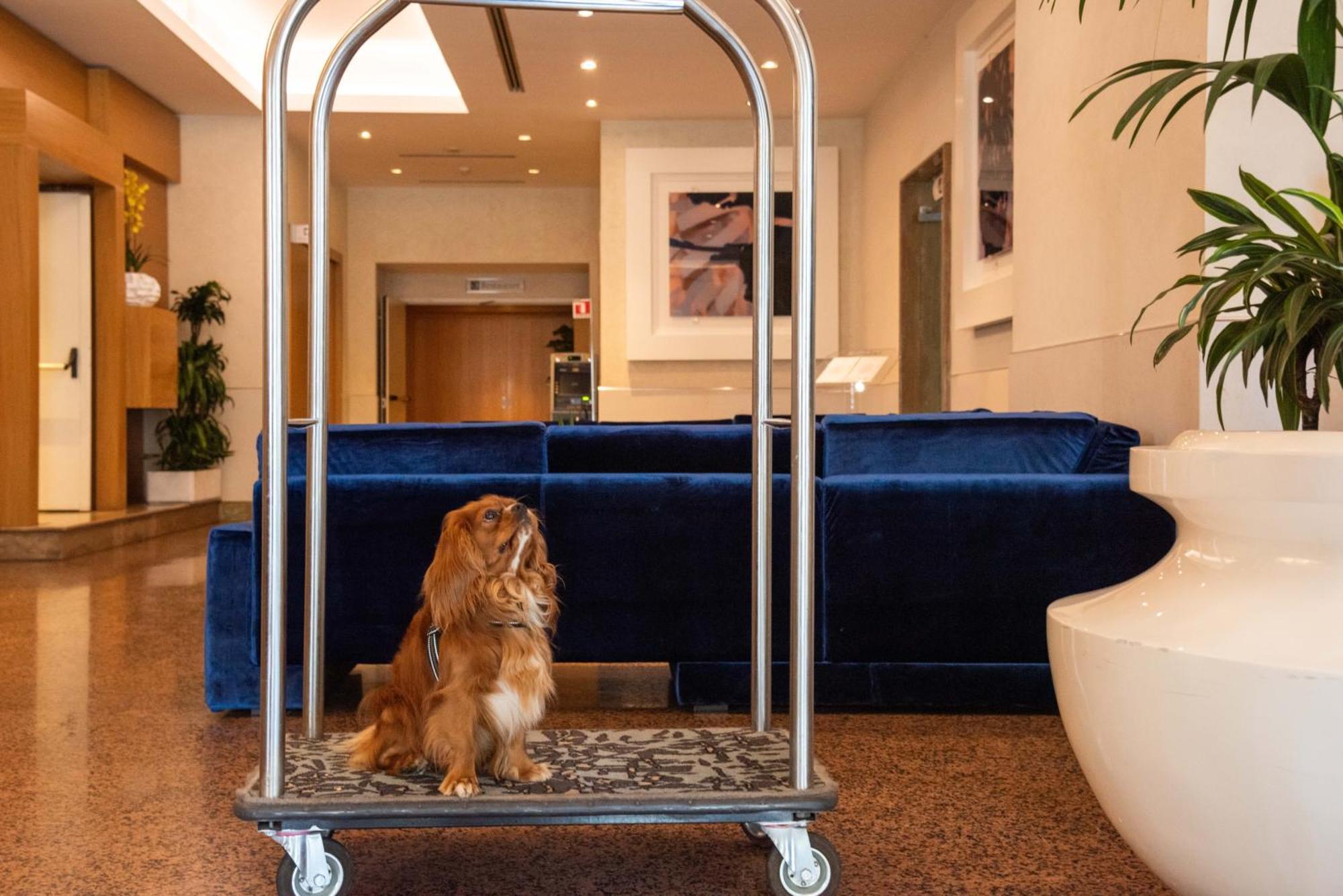 Hotel Western President - Colosseo Roma