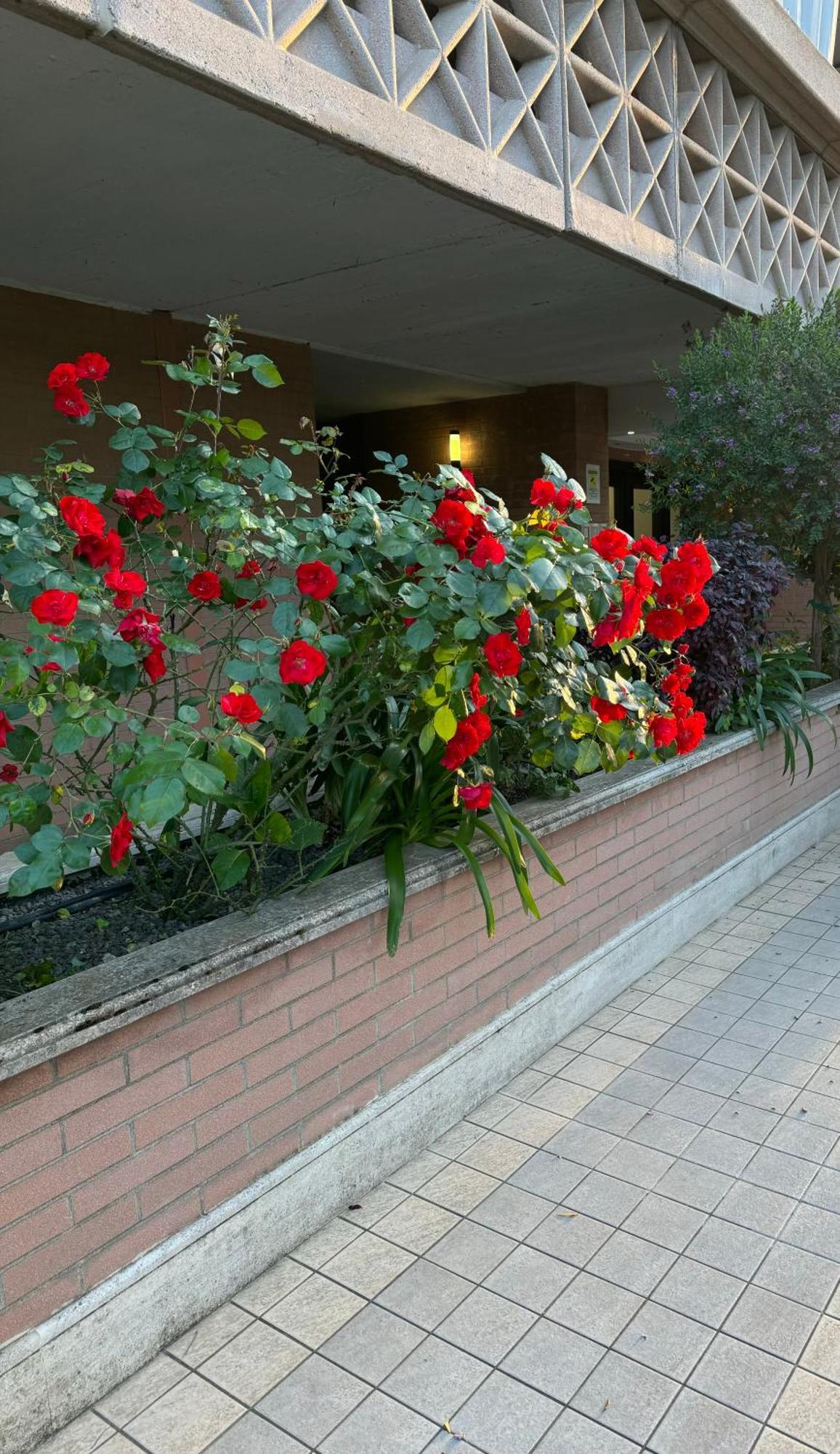 Flaminia Apartment