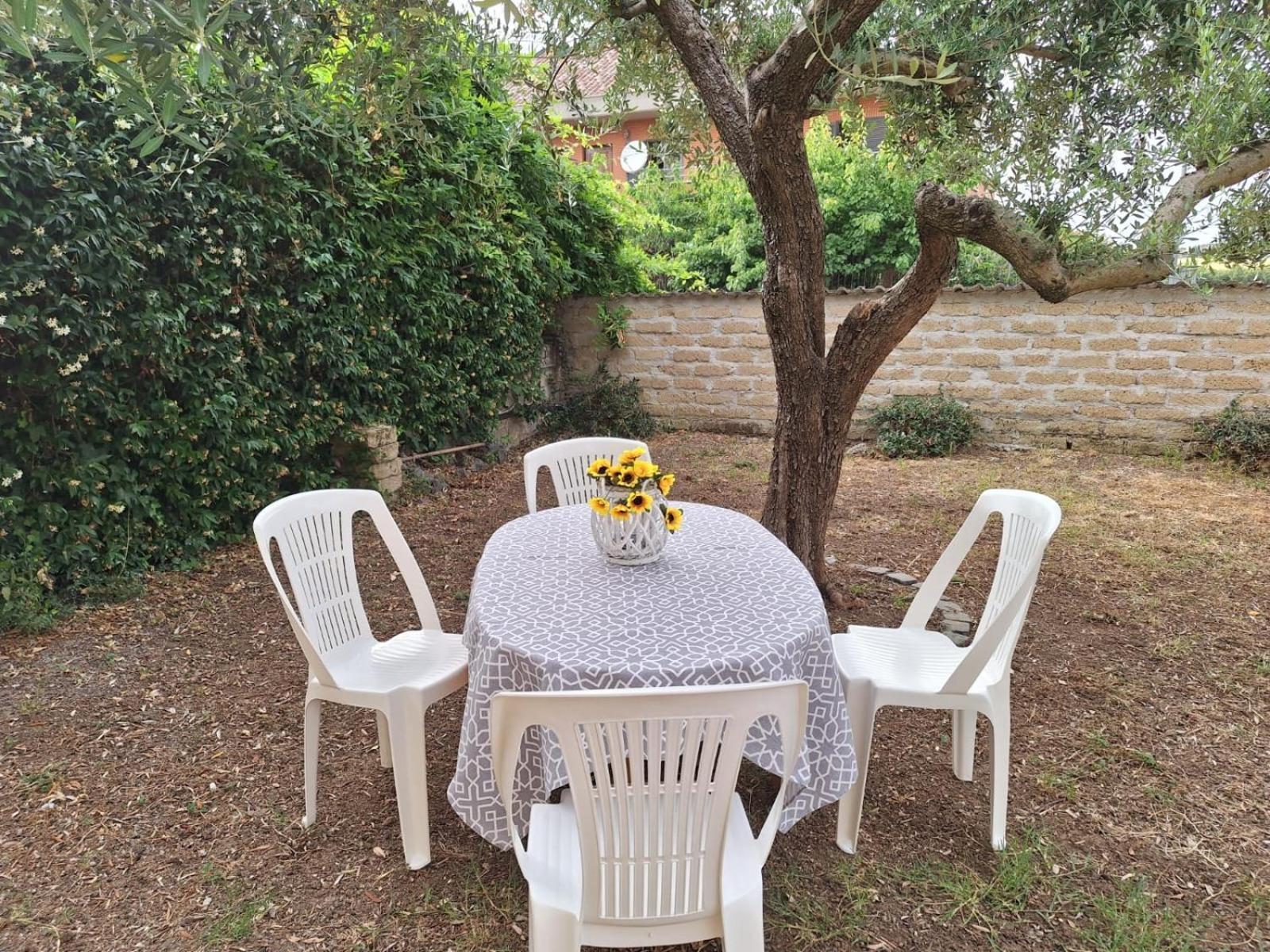 Appartamento Casa Federica *