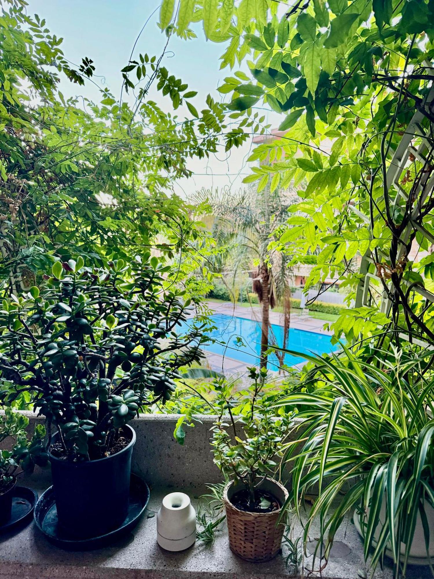 Apartment Flaminia *