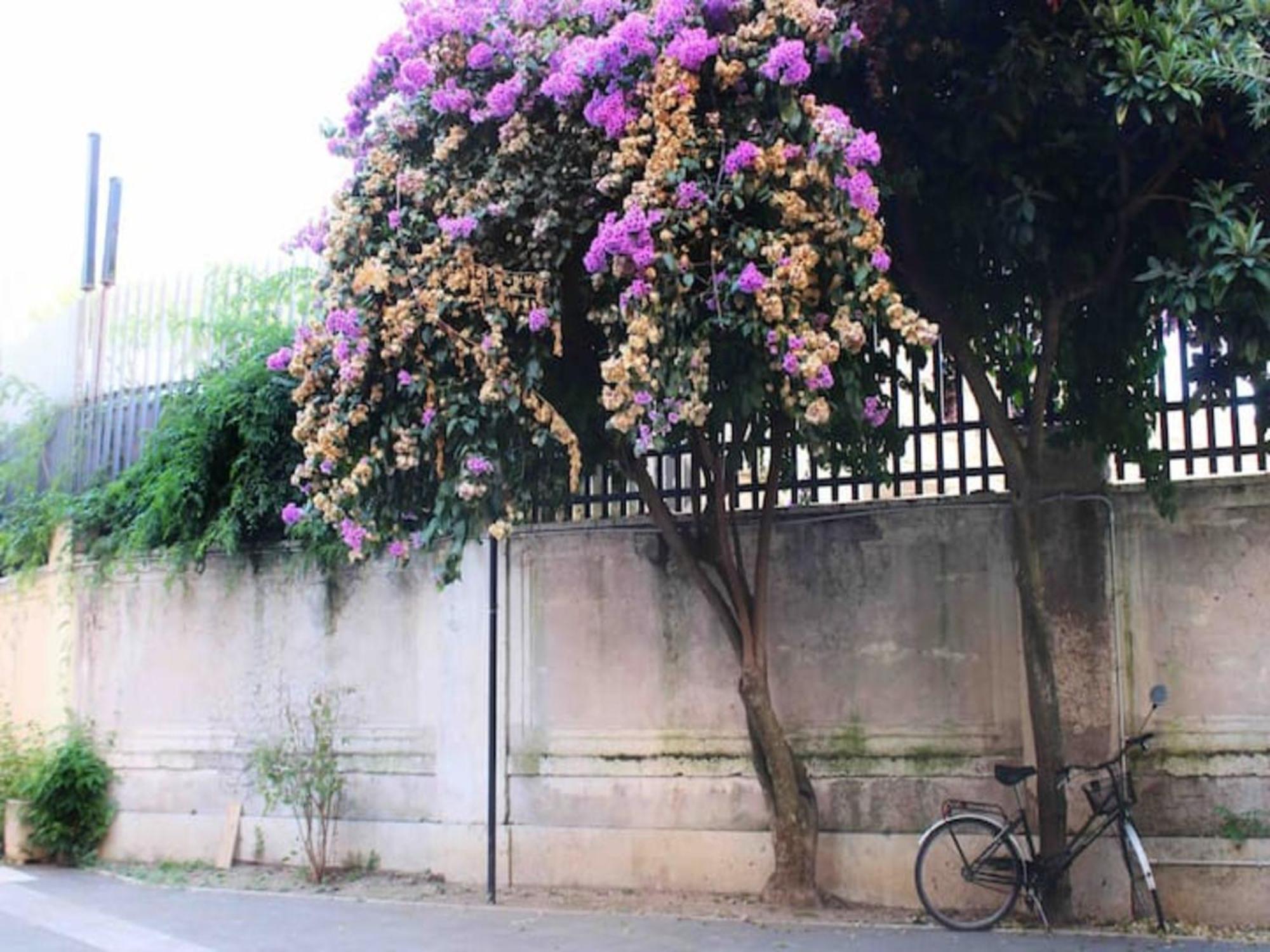 Angelico Deluxe Near Vatican Holiday home *