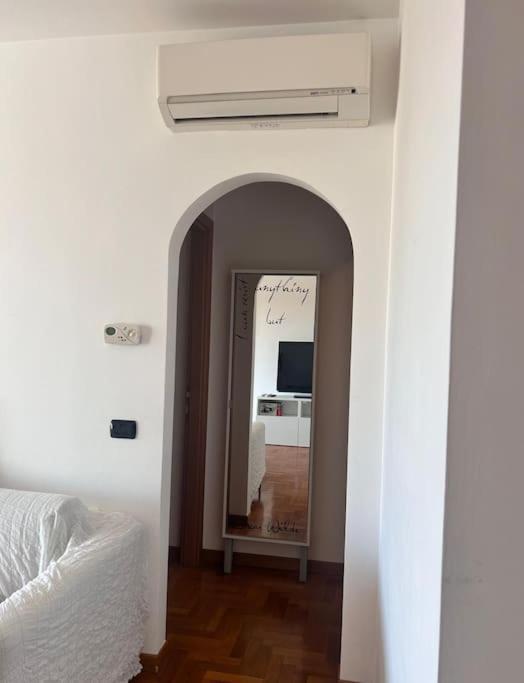 Premium Papillo * Roma