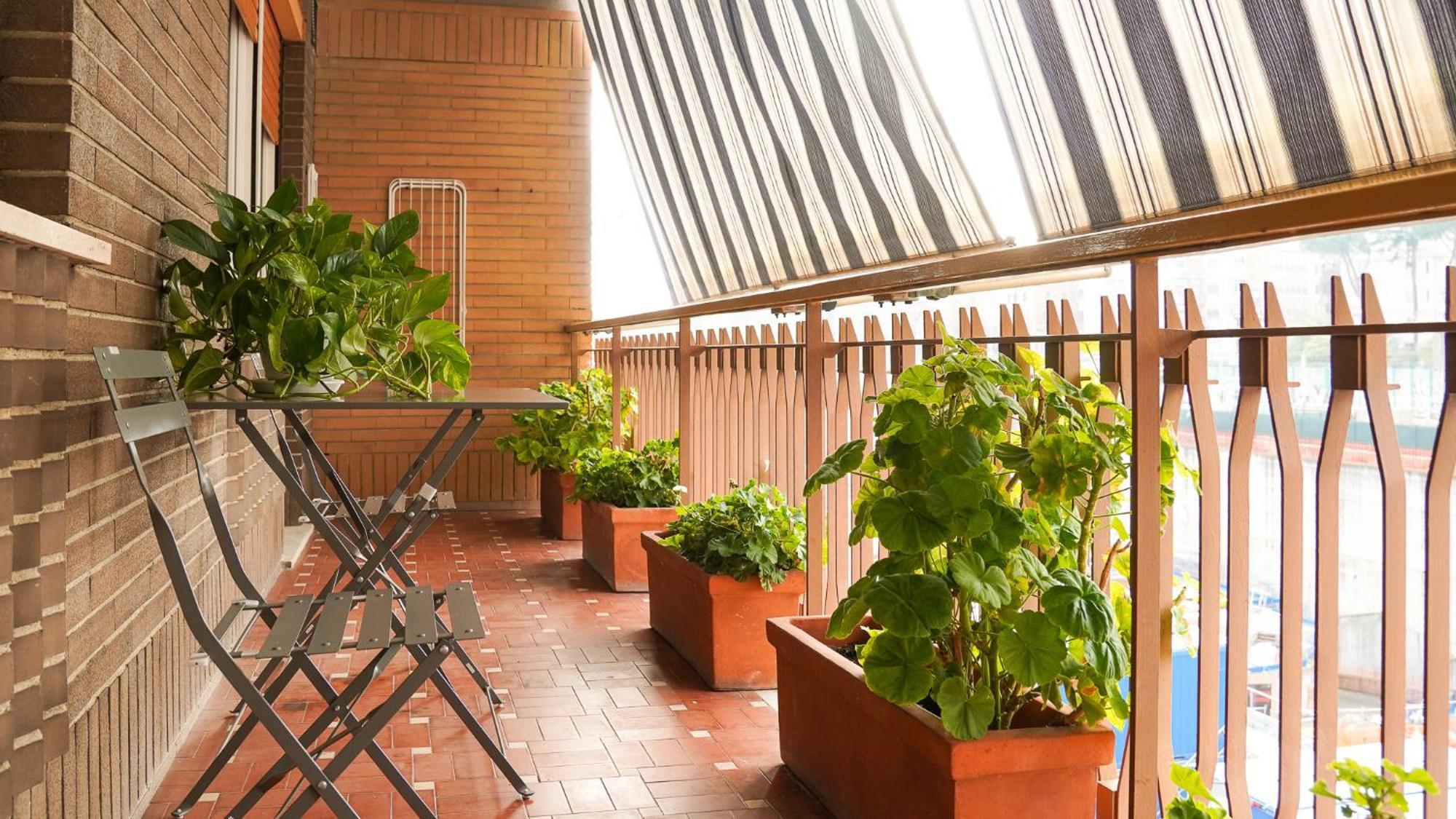 Casa de hóspedes 51