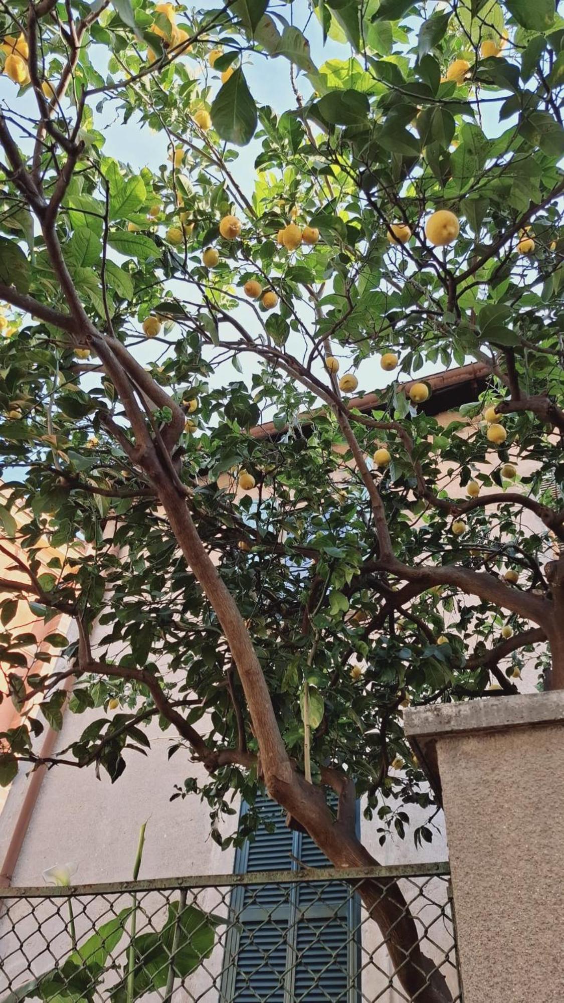 Casetta Garbatella Rome