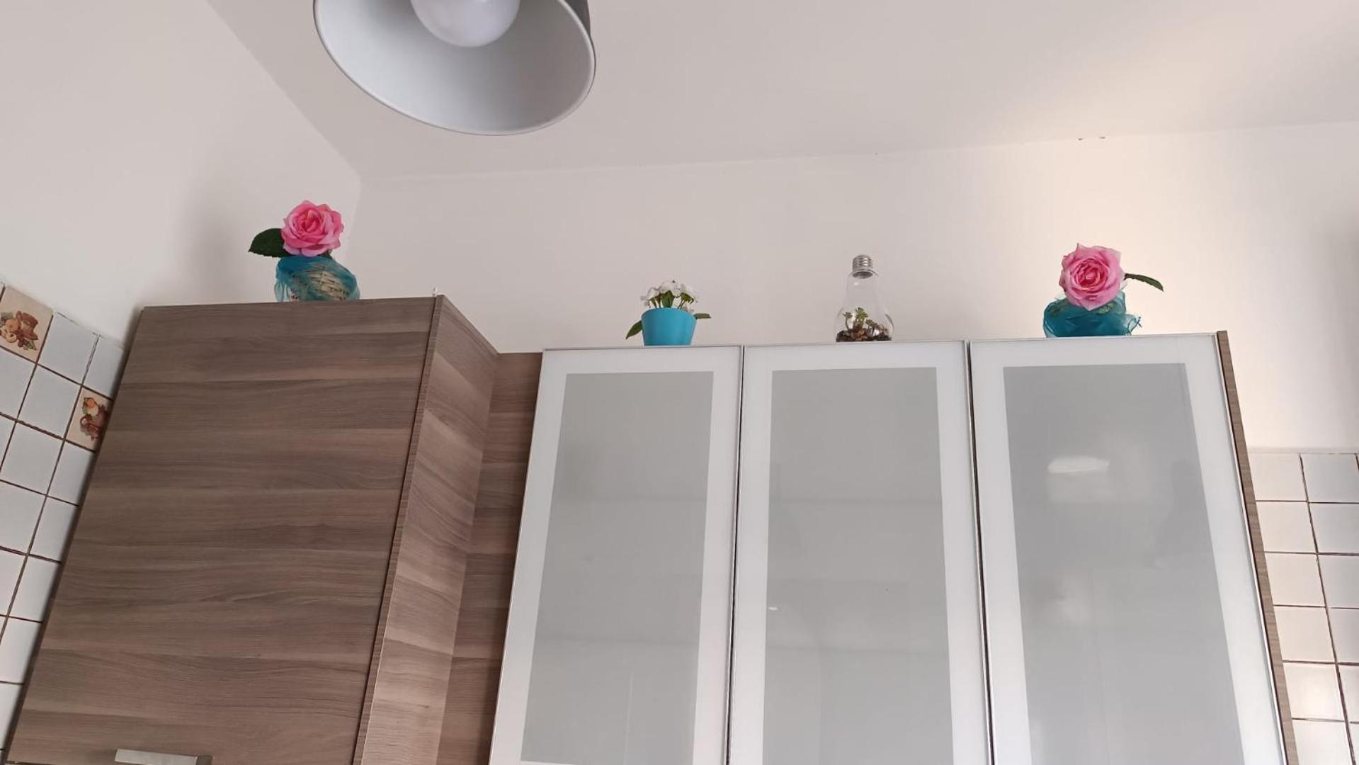 Gemelli Garden House Apartment