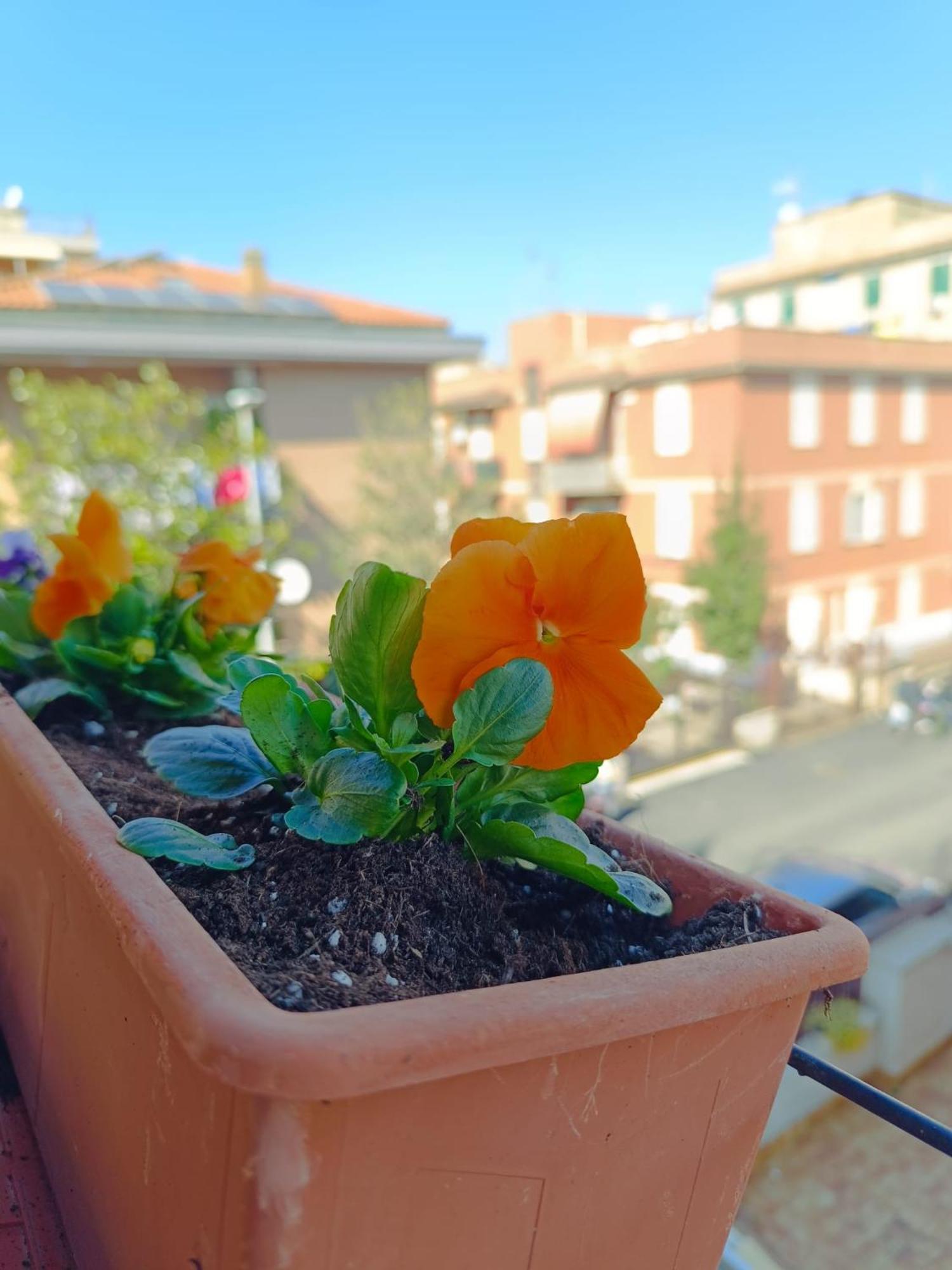 Gemelli Garden House * Rome