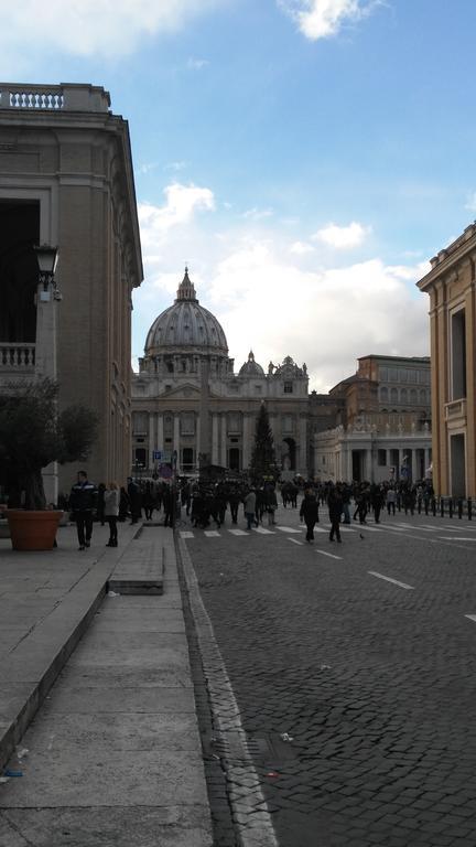 Fiore Vaticano Roma