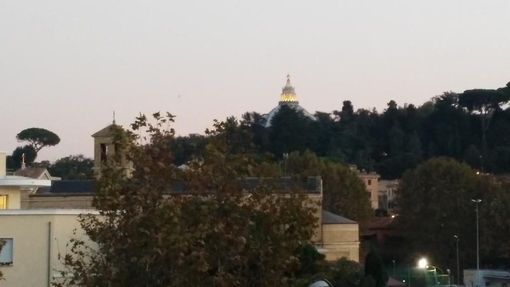 Fiore Vaticano Roma