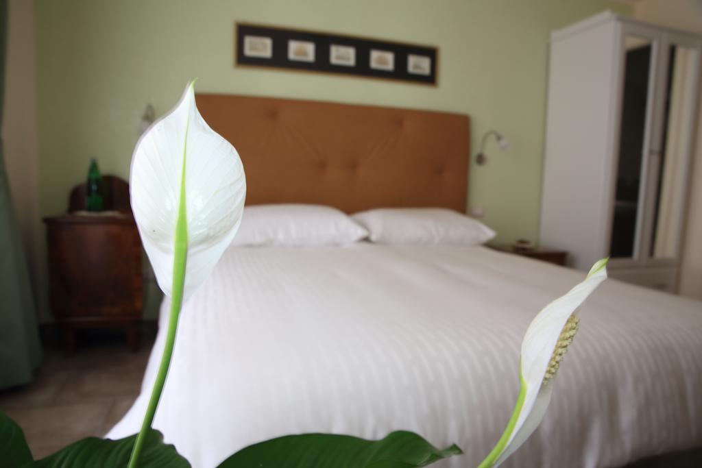 Anice Guesthouse