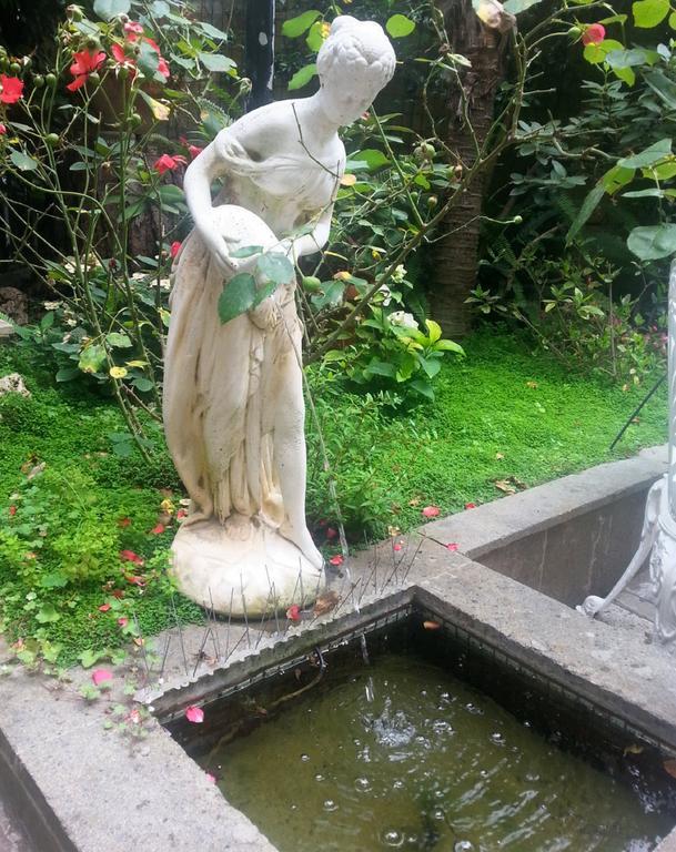 Casa de hóspedes Il Limone Nascosto Roma