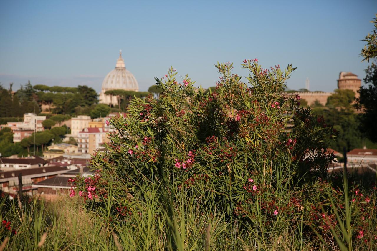All'ombra Di San Pietro * Rom