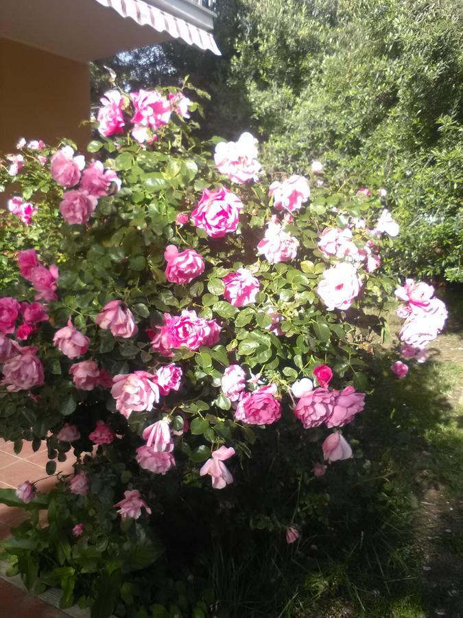 Leilighet Braccianese