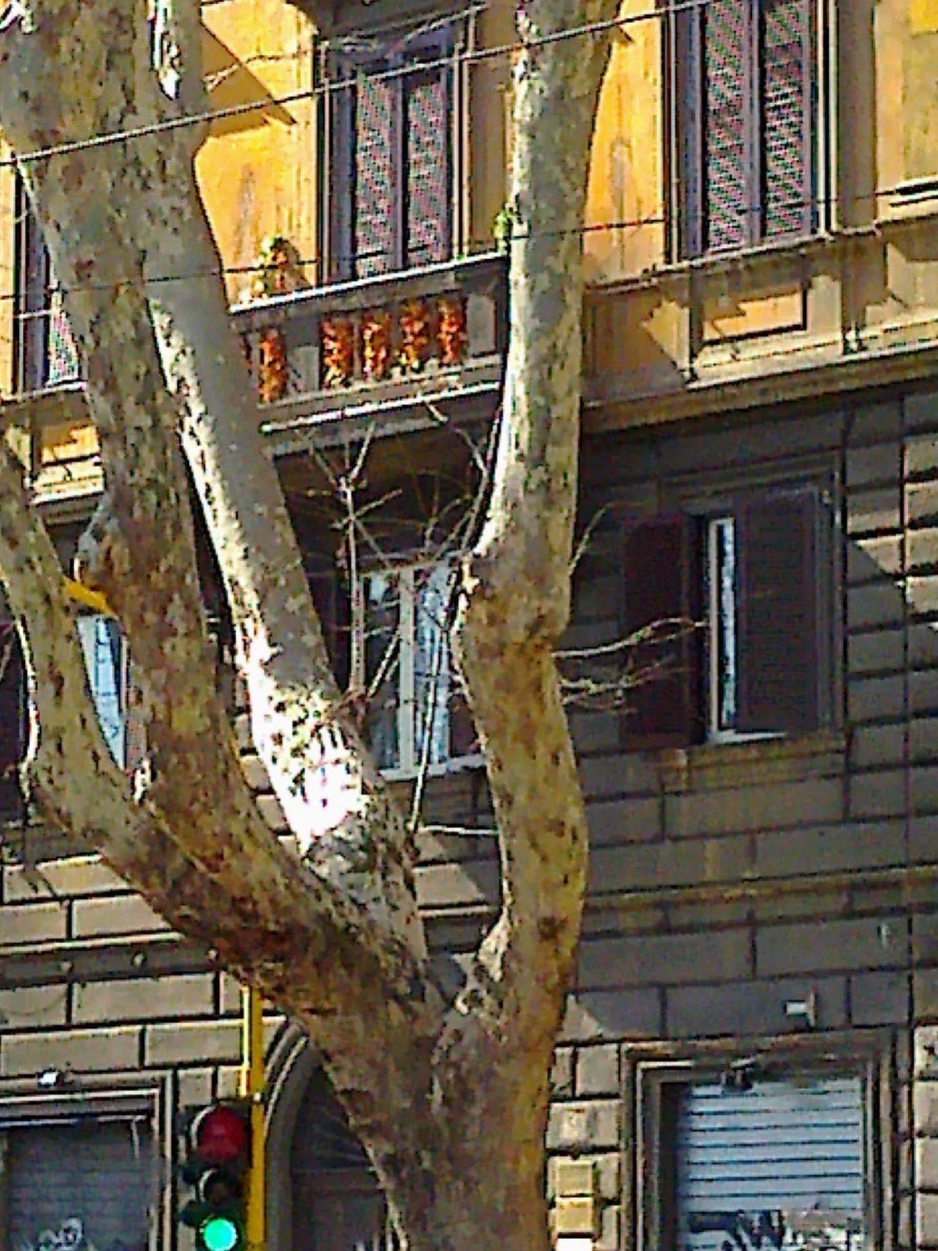 Affittacamere Al 138 Town House 3*