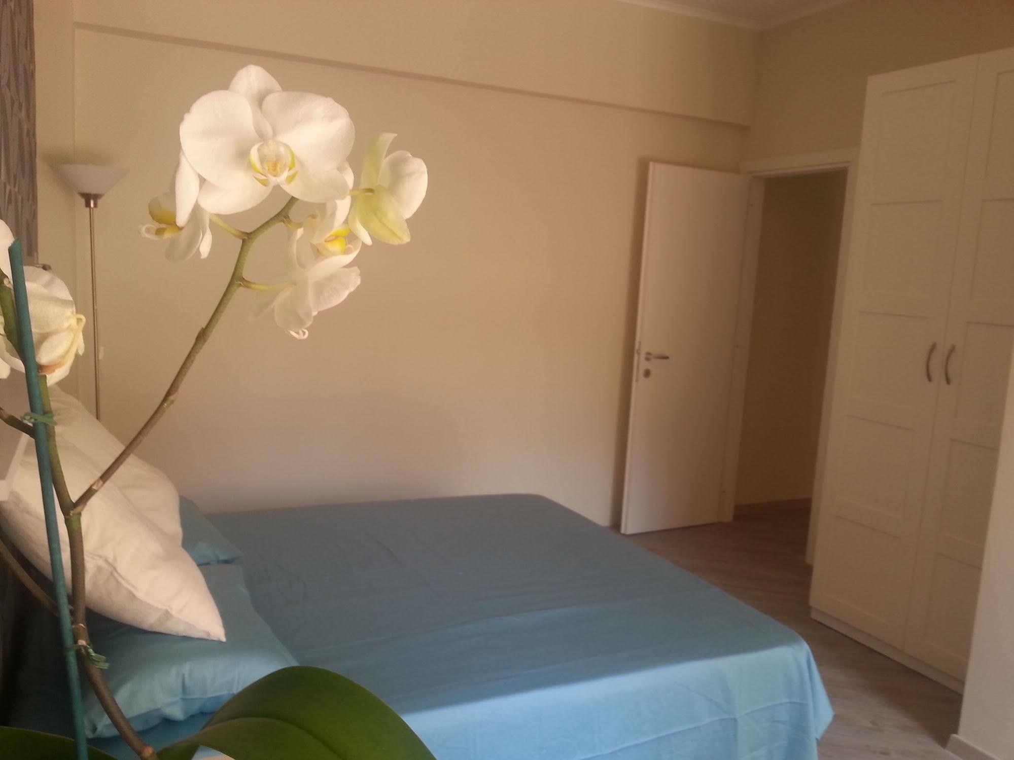 Bed and breakfast Domus Pio Xi° 2*
