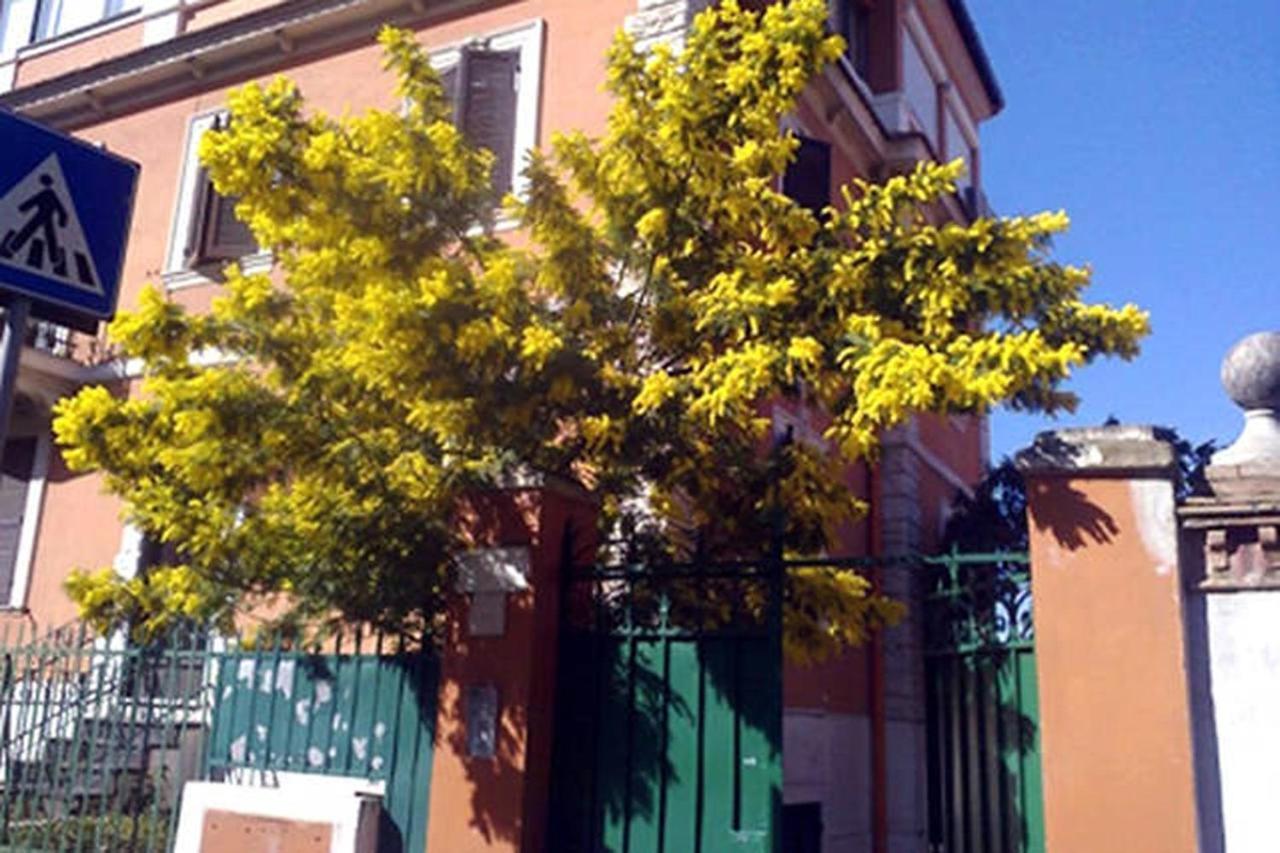 Garden Flat By Vatican Walls Gasthof Rom