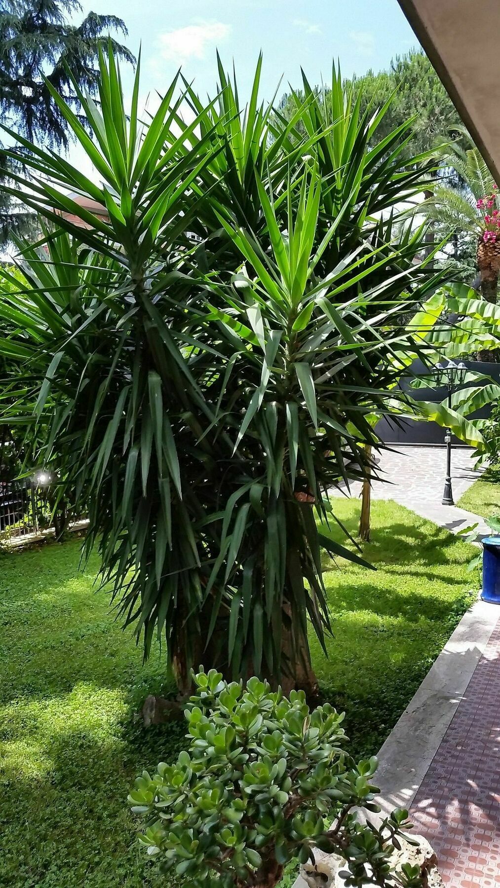 Il Giardino Di Giulia 2 3* Rom