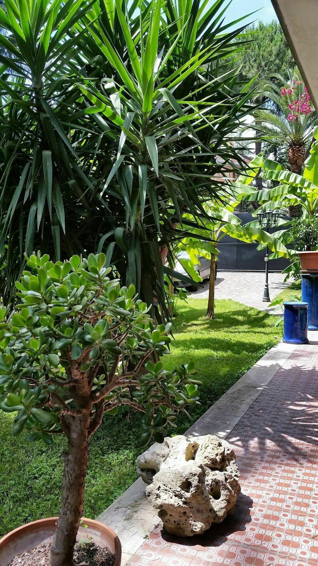 Hotel Il Giardino Di Giulia 2 Rom