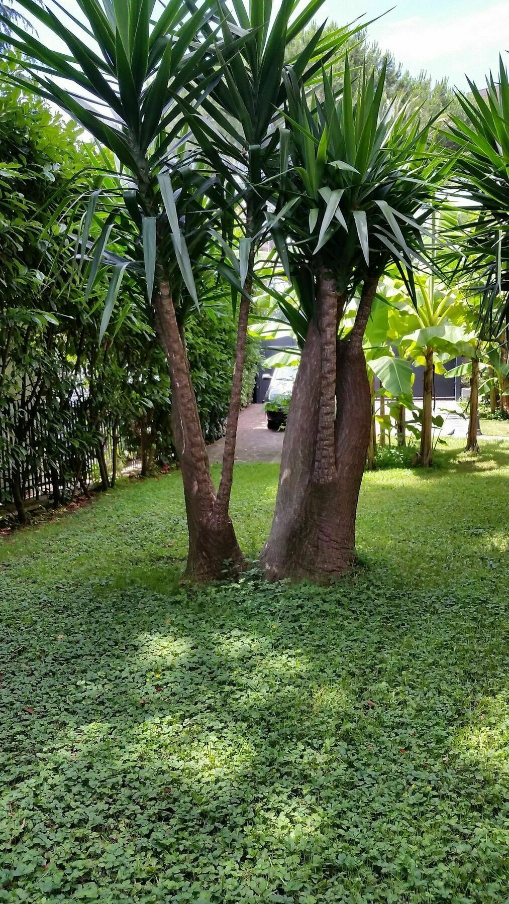 Il Giardino Di Giulia 2 3* Rom