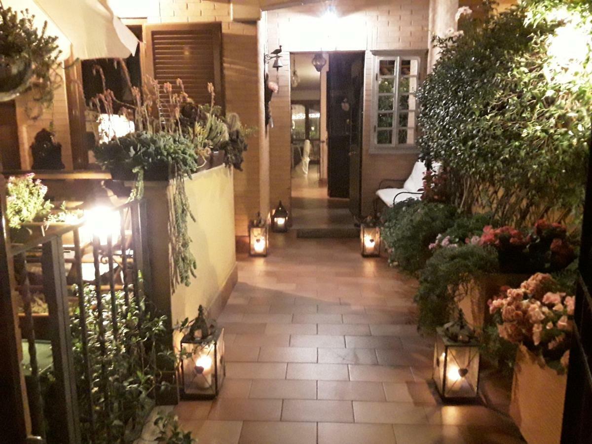 Fiori E Lanterne *