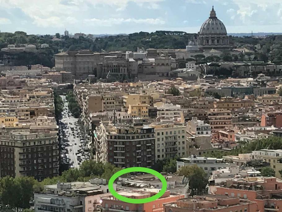 Almond Tree Vatican * Roma
