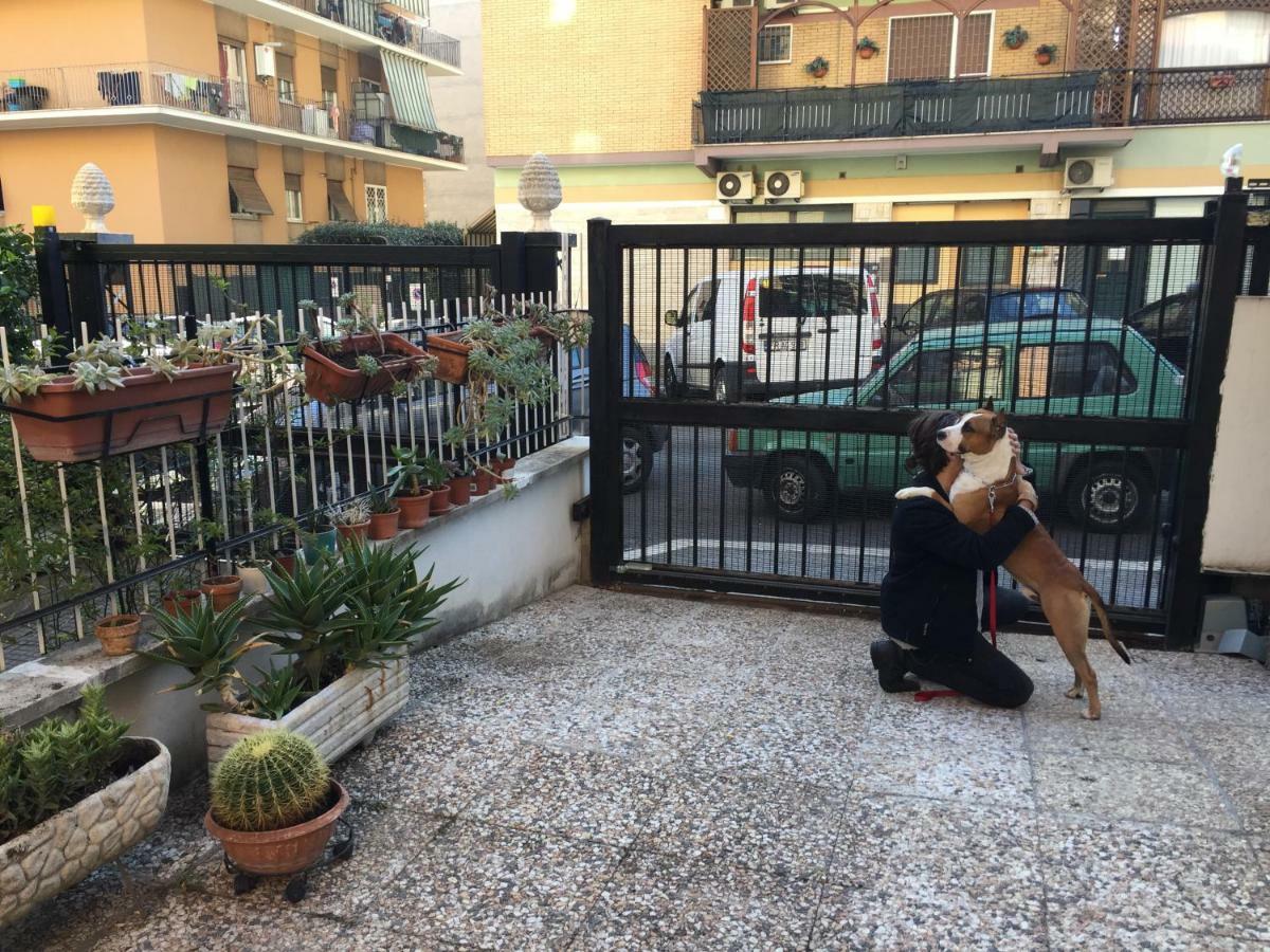 Casa de hóspedes Lizart Garden
