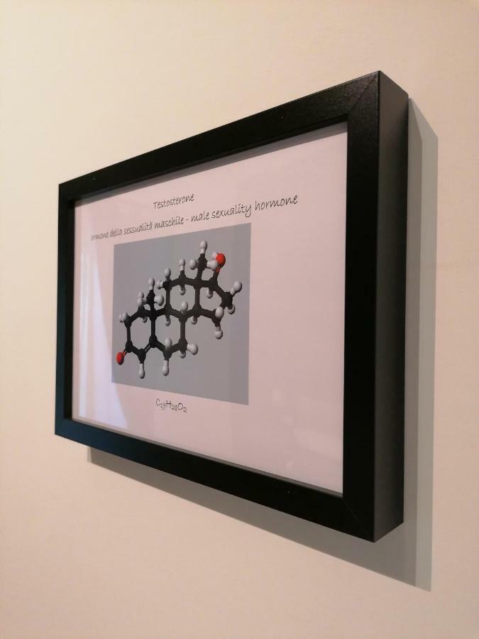 Leilighet Chroma Italy - Doctor House Roma