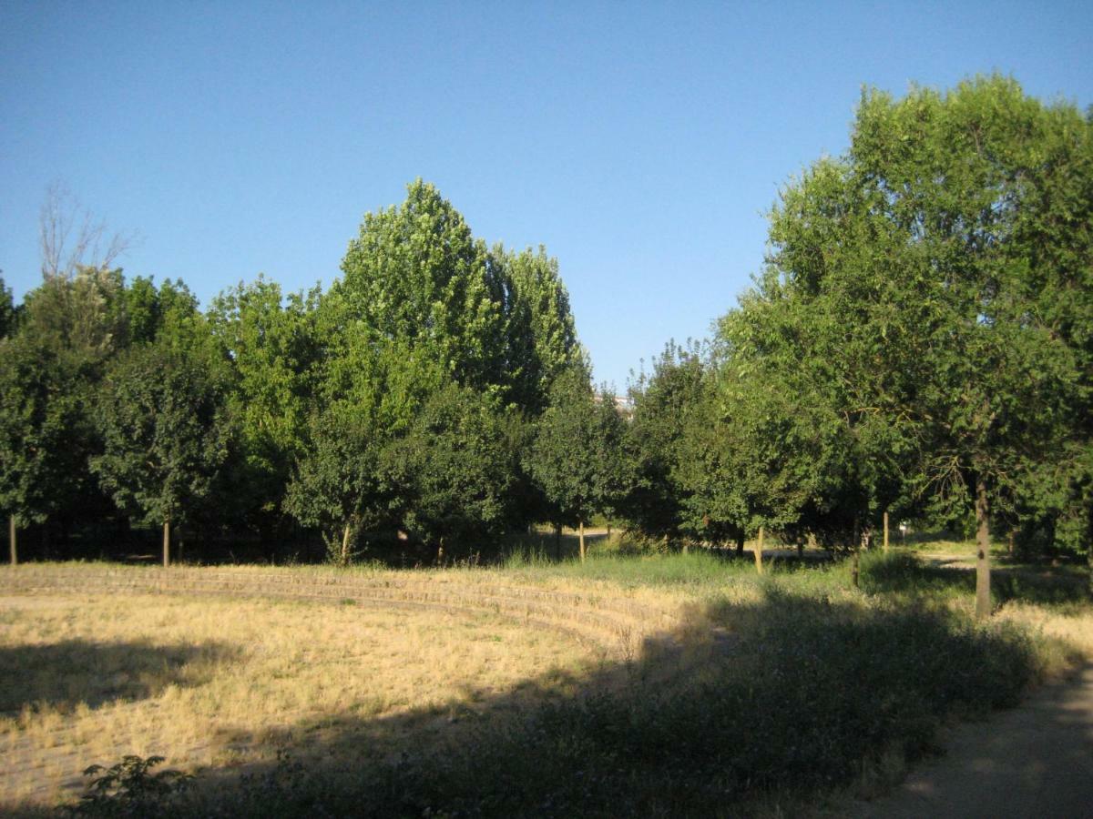 La Casa Di Valeria Affittacamere