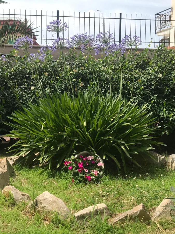 Apartamento Lovely Little In Via Aurelia