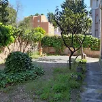 Ob1 Vacanze Romane