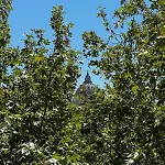 Saint Peter\'S View - By 101Flats