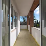 Tiber Suite
