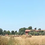 Ila In Fiera