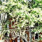 Testaccio Charming Apartment