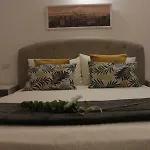 Superior Studio Flat - Vatican