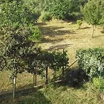 Spazio E Tranquillita A Roma