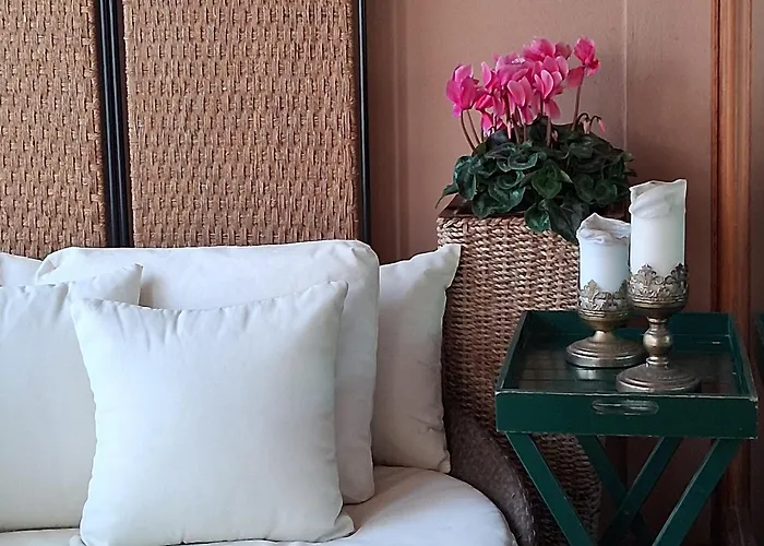 The Olive Grove Roma Guest House