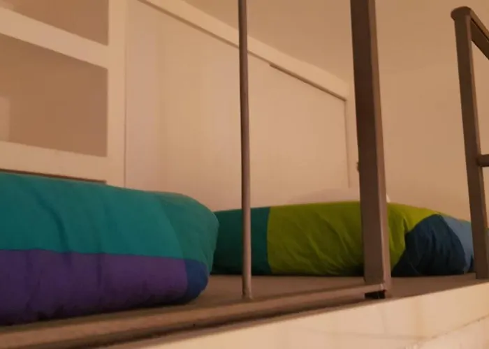 Sasa House