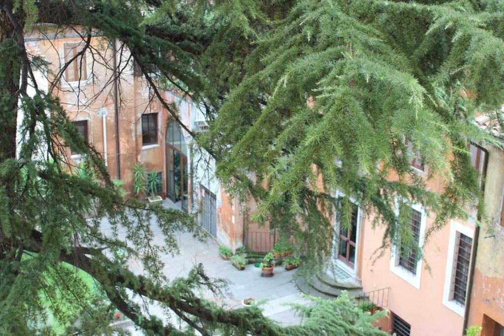 Esquilino Di Yan *