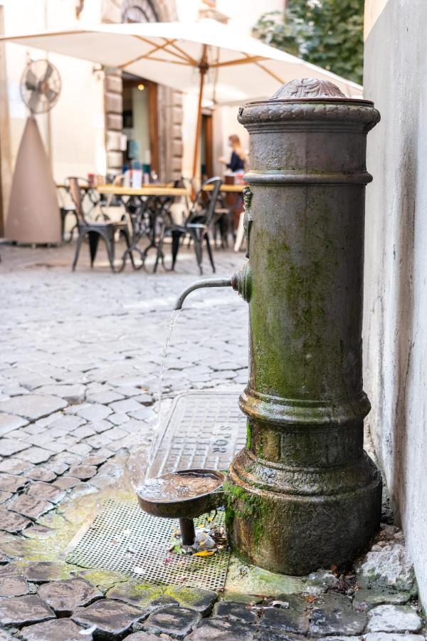Gasthof Guest House O Affittacamere Magenta Fico 2 Rom