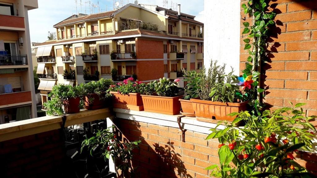 La Casa Di Egle Rome