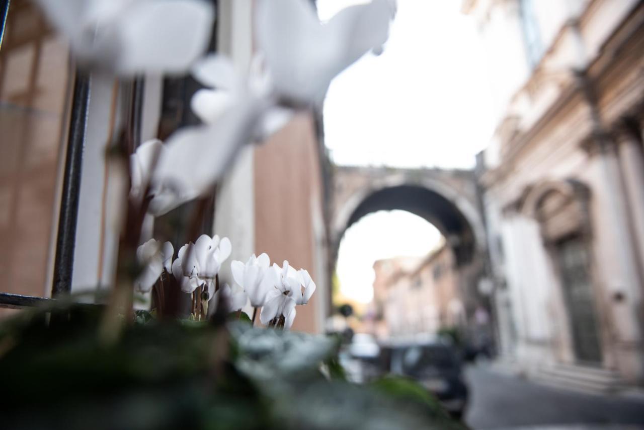 Sweet Arco Farnese