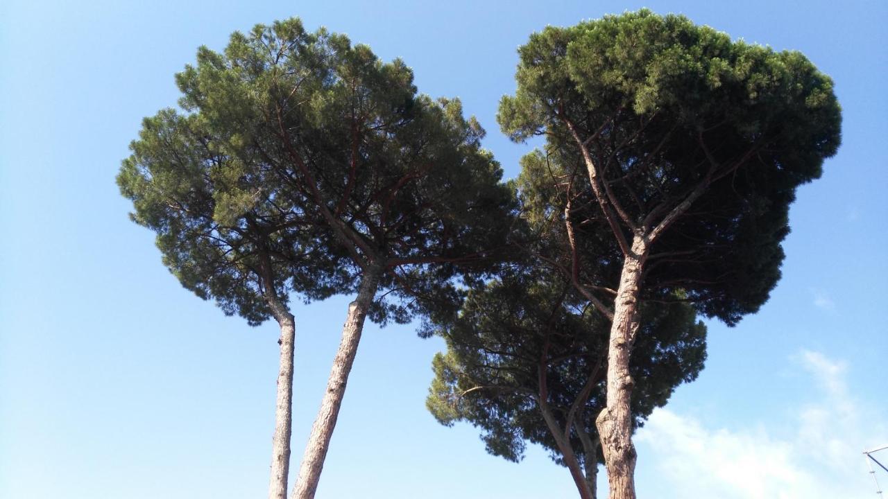 Appartamento Piccolo Nido