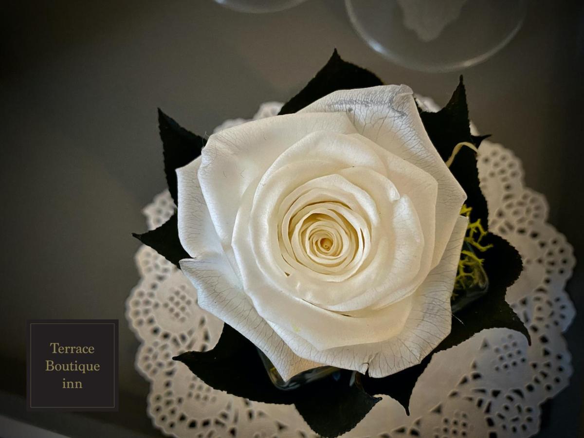 Affittacamere Terrace Boutique *