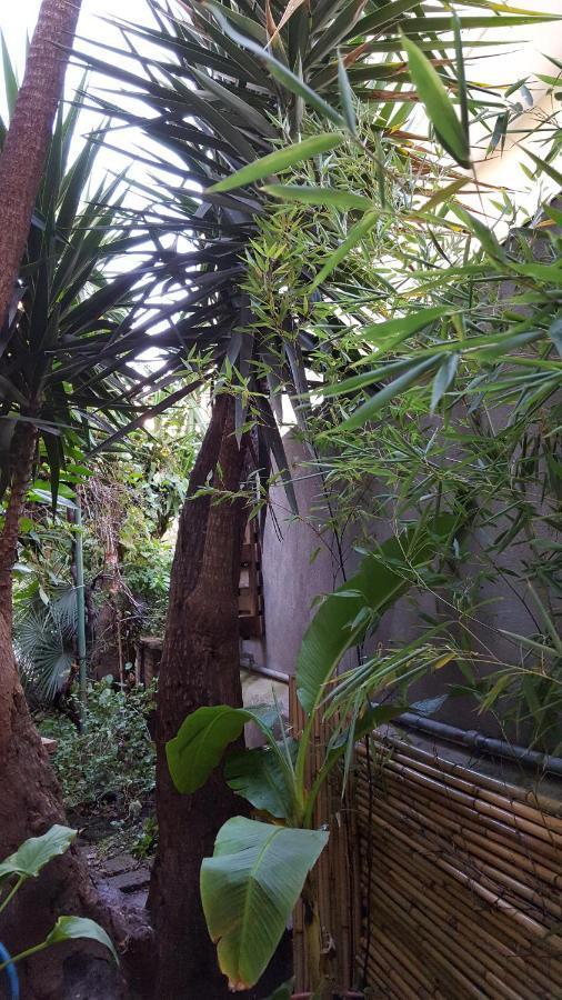 Palm Gallery Garden House Hotel