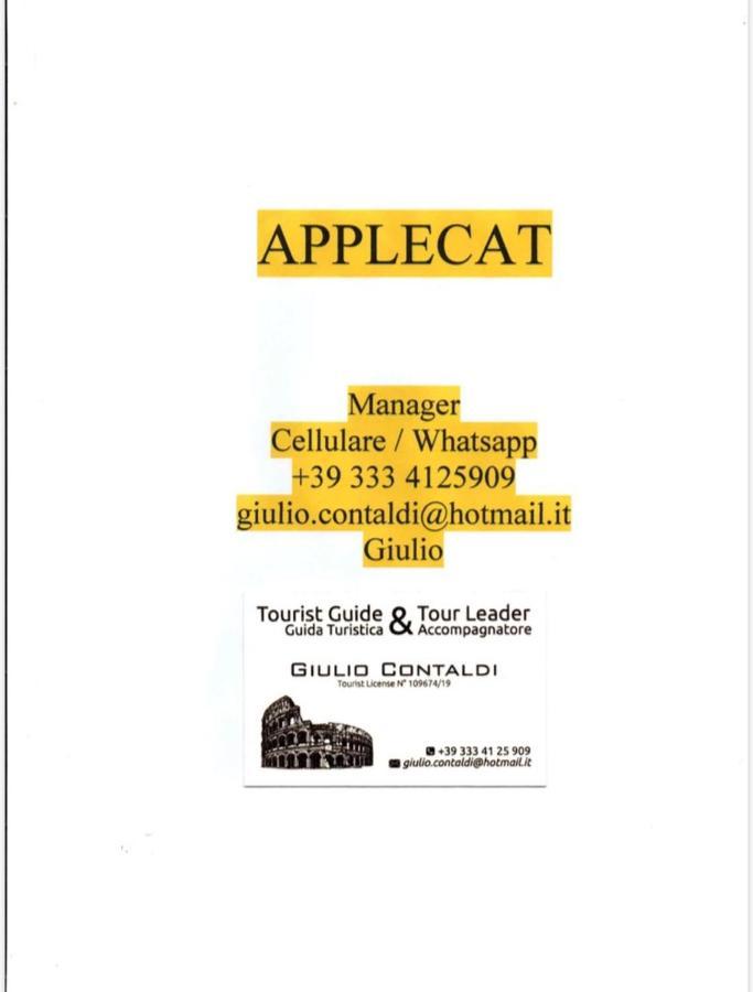 Applecat Affittacamere Roma