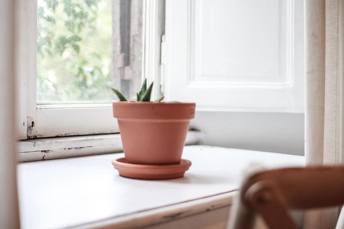 Alloggio in famiglia Coliving Trastevere *