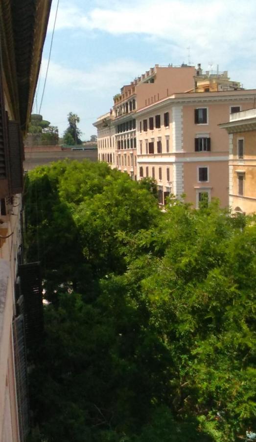 Folia Roma